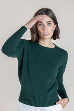 Load image into Gallery viewer, IGOR SWEATER