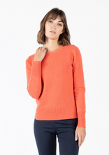 Load image into Gallery viewer, IGOR SWEATER